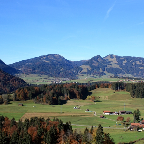 42 Im Oktober 2011 im Allgäu